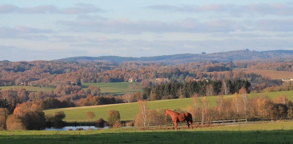 Photo of Others in Jumilhac-le-Grand