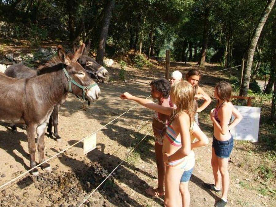 Photo of Others in La Colle-sur-Loup