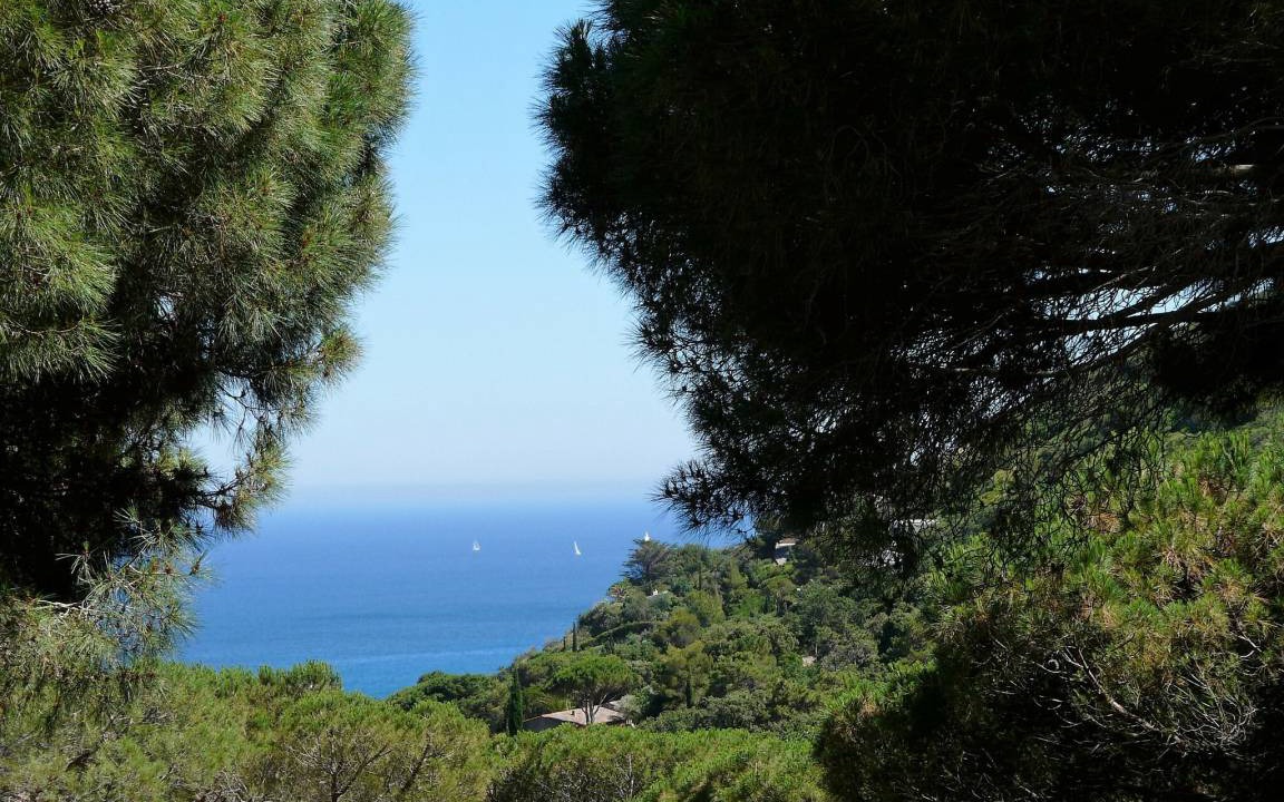 Photo of Others in Ramatuelle