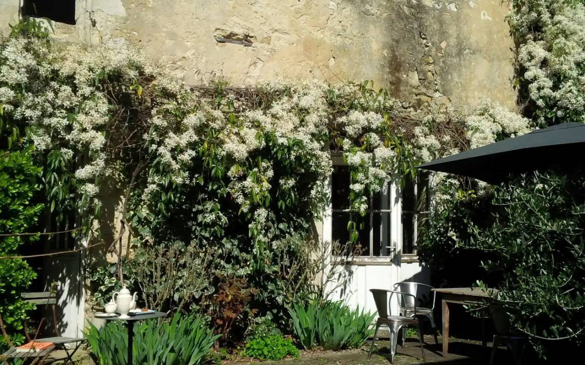 Photo of Others in Vertheuil