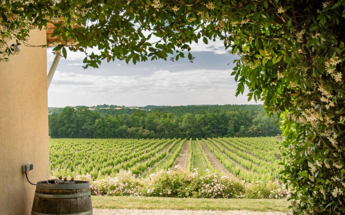 Photo of Others in Monbazillac