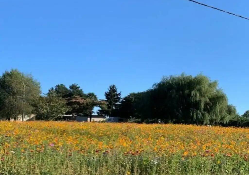 Photo of Others in Mauzac-et-Grand-Castang