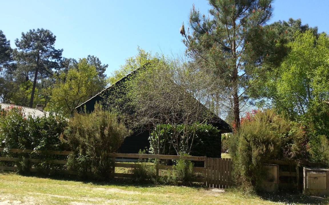 Photo of Others in Lacanau