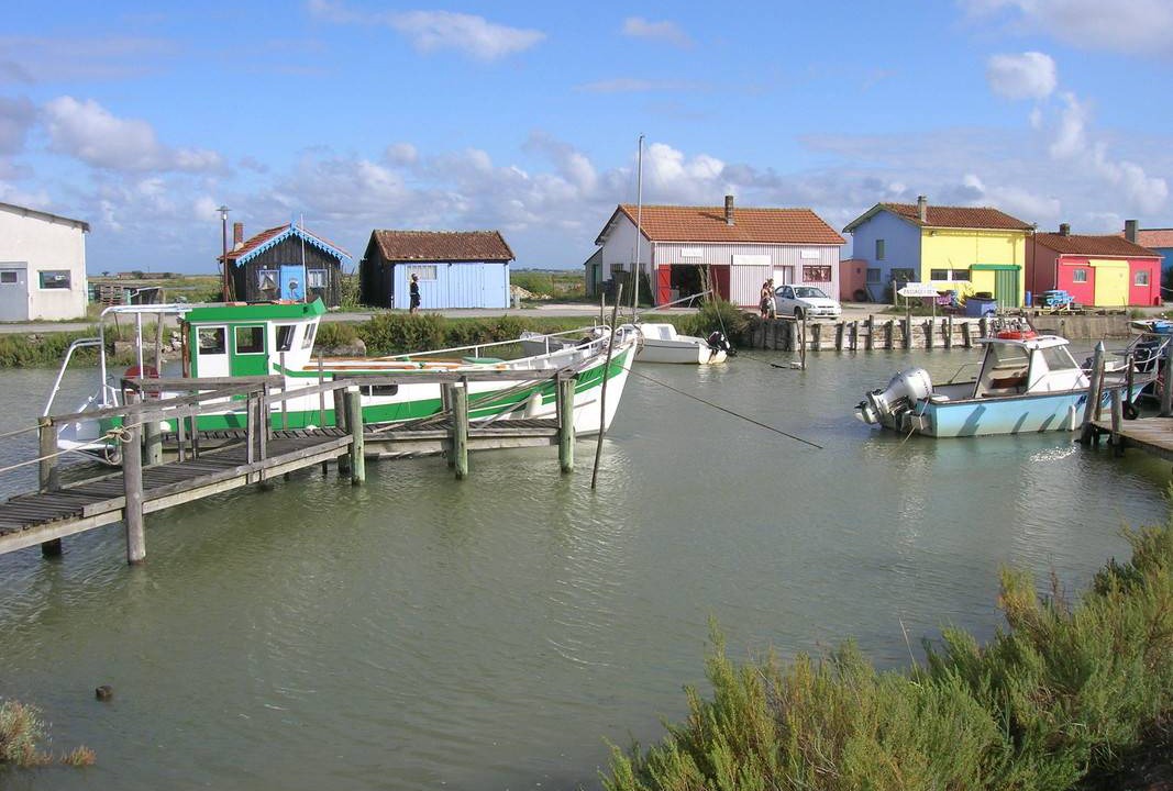 Photo of Others in Pons
