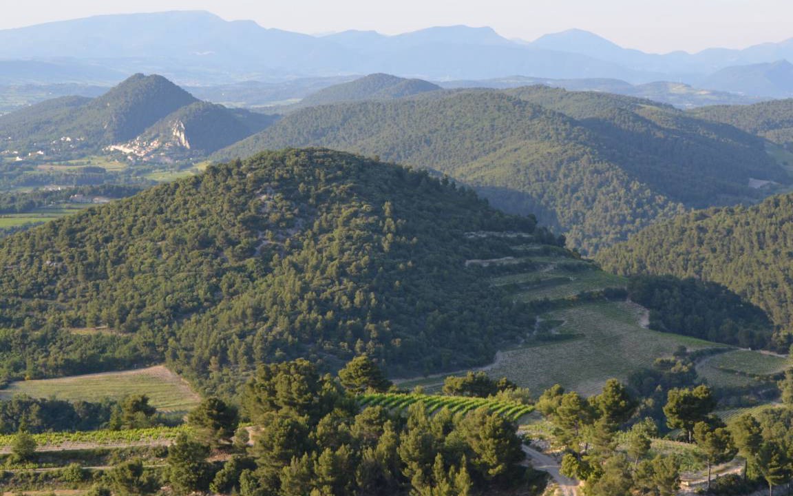 Photo of Others in Gigondas