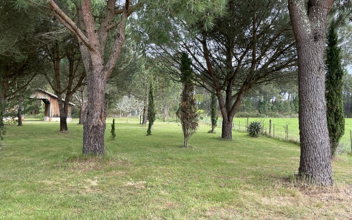 Photo of Others in Messanges