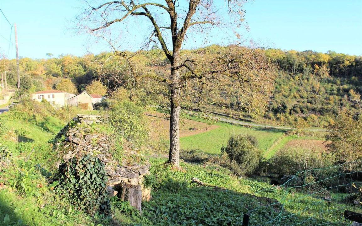 Photo of Others in La Roque-Gageac