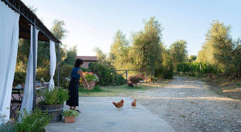 Photo of Others in Castagneto Carducci