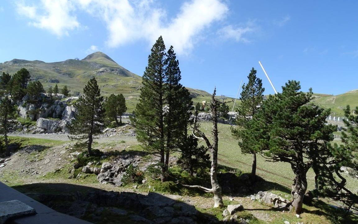 Photo of Others in Arette