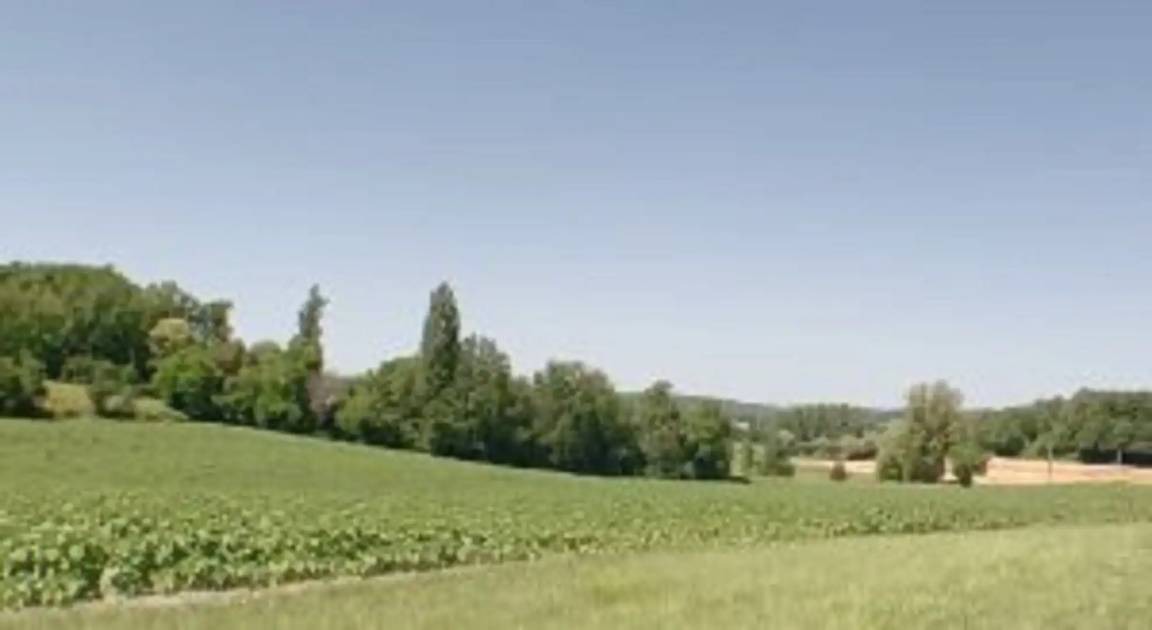Photo of Others in Montmoreau-Saint-Cybard