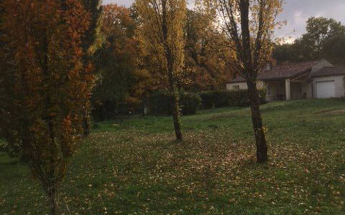 Photo of Others in Cognac
