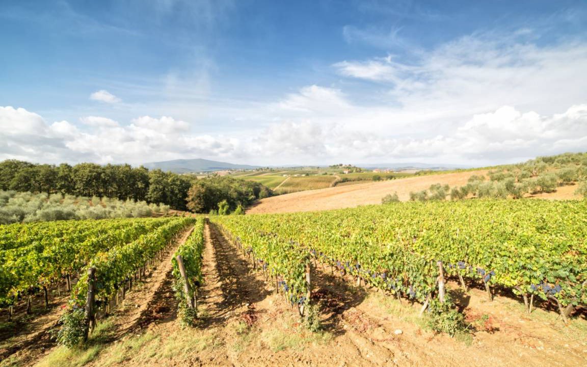 Photo of Others in Monteriggioni