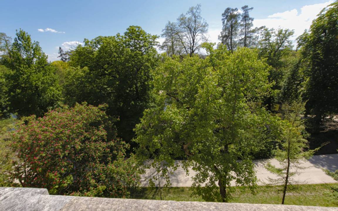 Photo of Others in Grand Parc-Paul Doumer