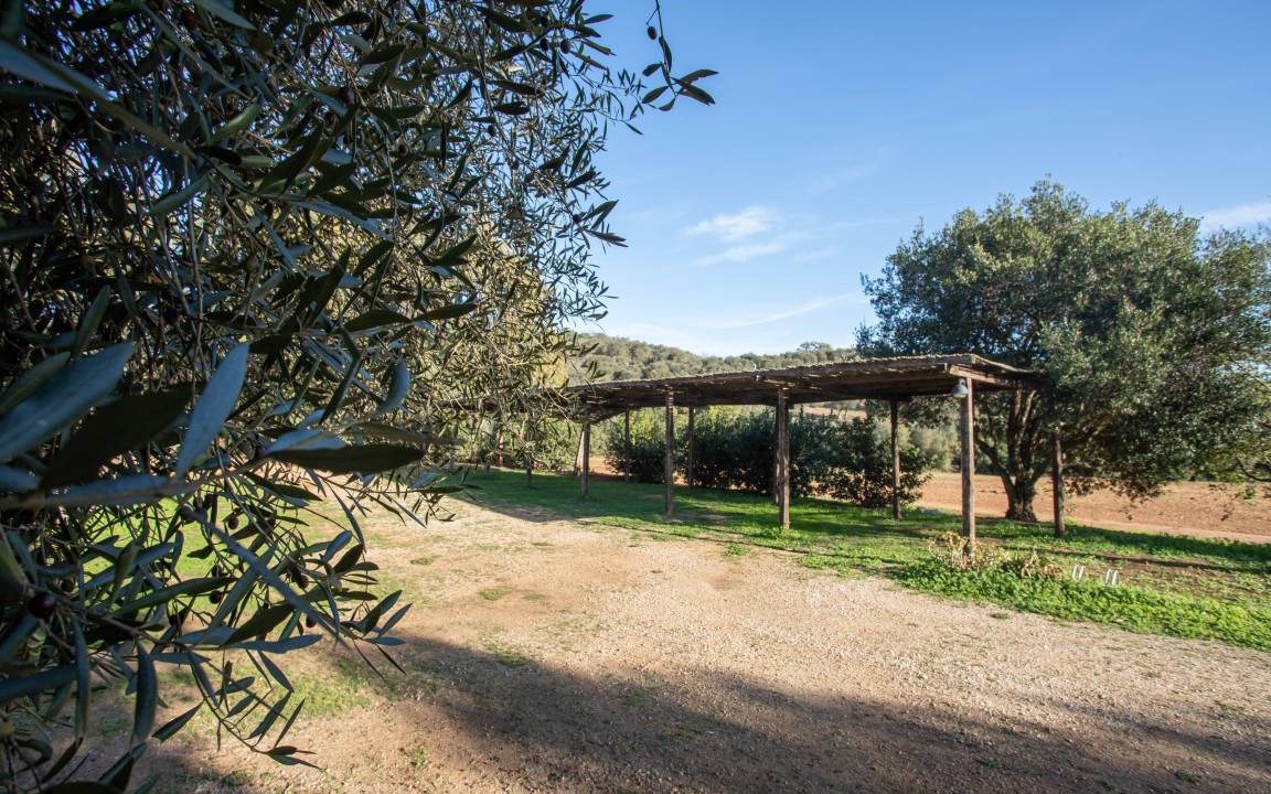 Photo of Others in Orbetello