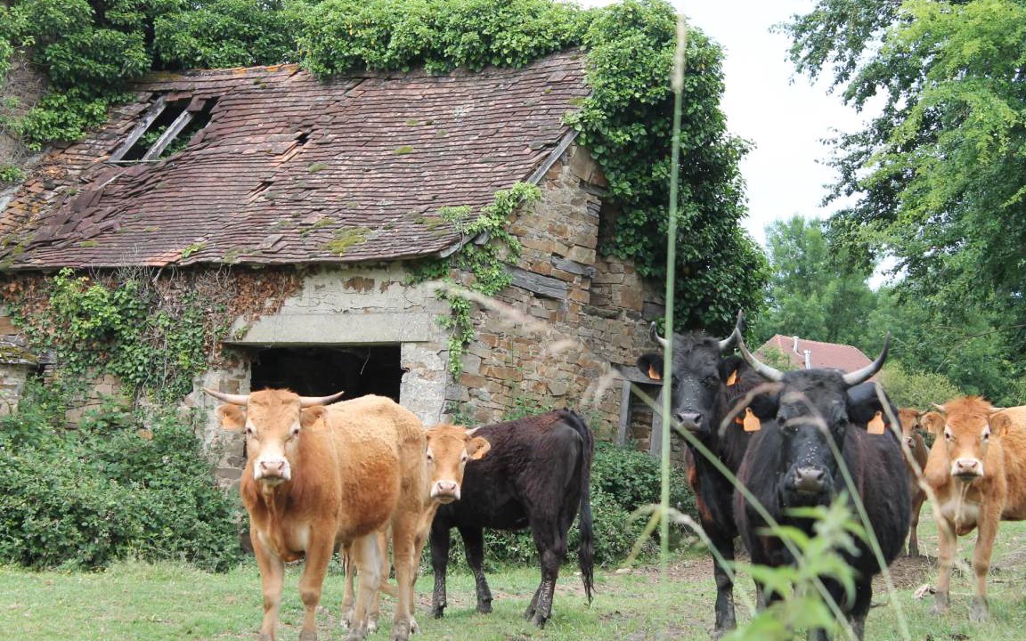 Photo of Others in Jumilhac-le-Grand