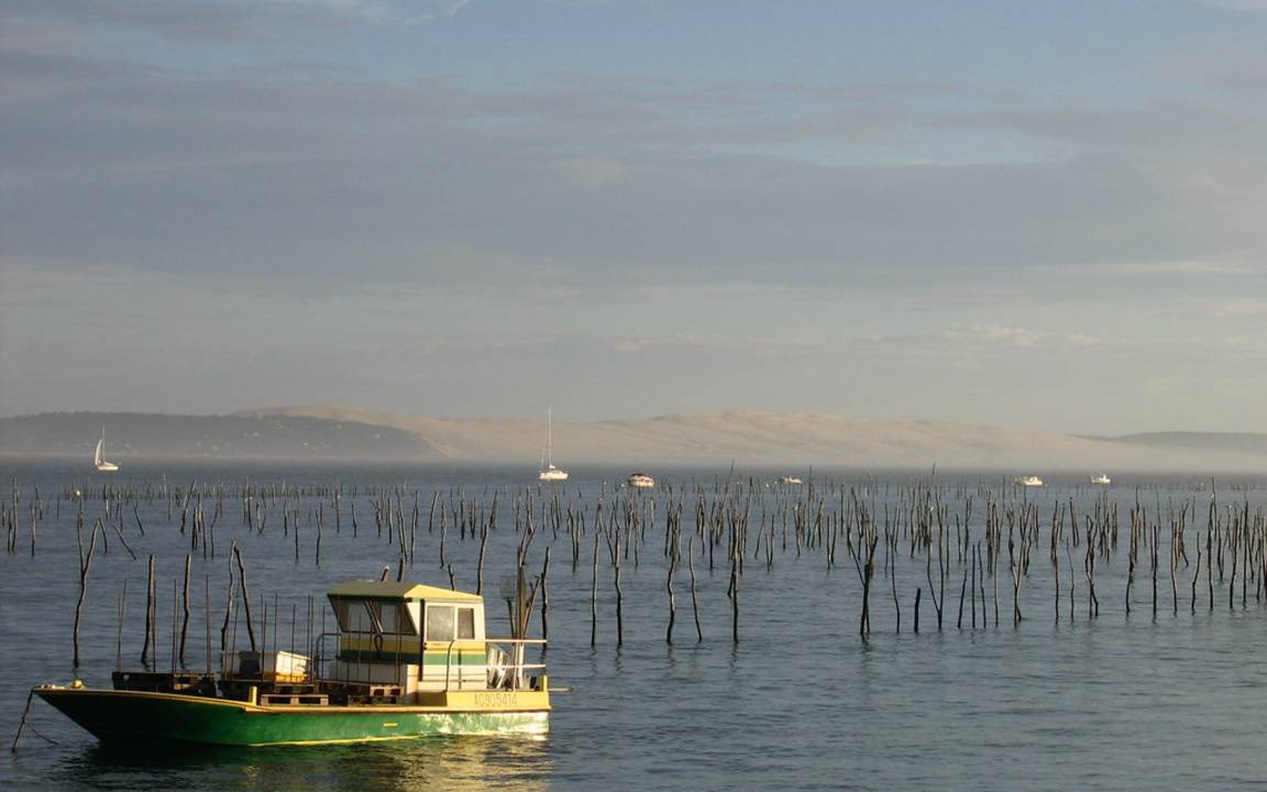 Photo of Others in Arcachon