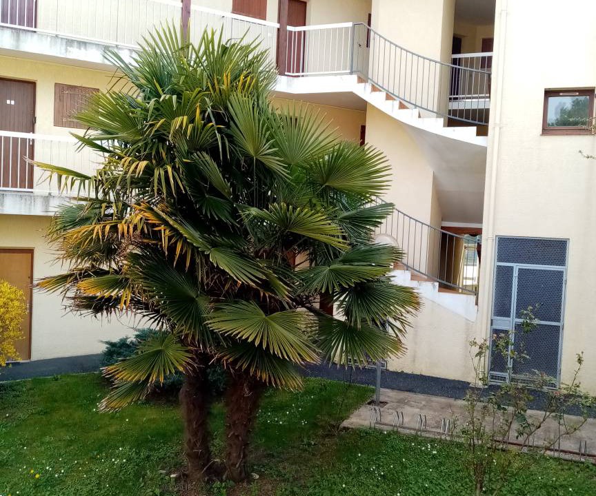 Photo of Buildings in La Palmyre