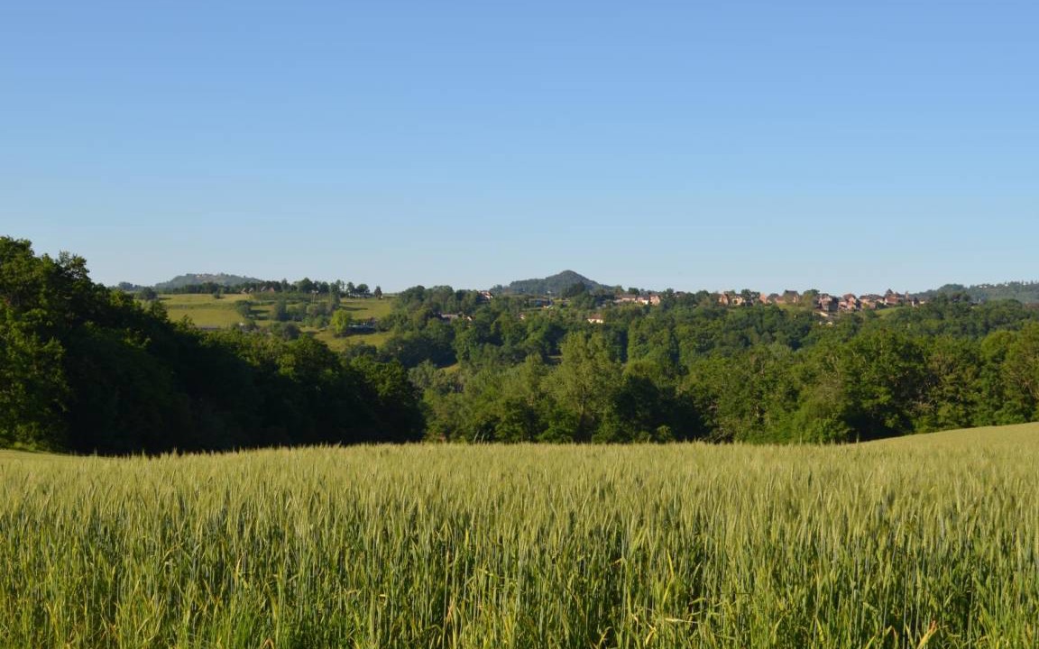 Photo of Others in Saint-Cyr-la-Roche