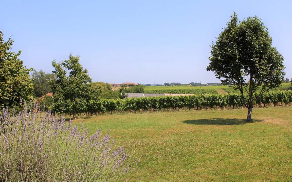 Photo of Others in Saussignac