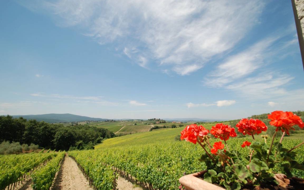 Photo of Others in Monteriggioni