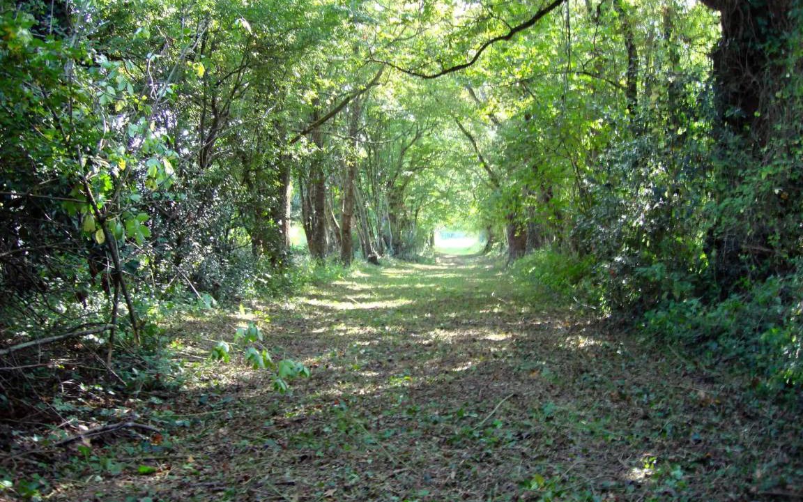 Photo of Others in Malleret-Boussac