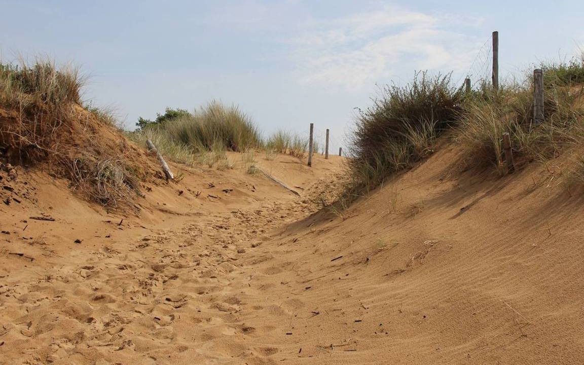 Photo of Outdoor in Le Grand-Village-Plage