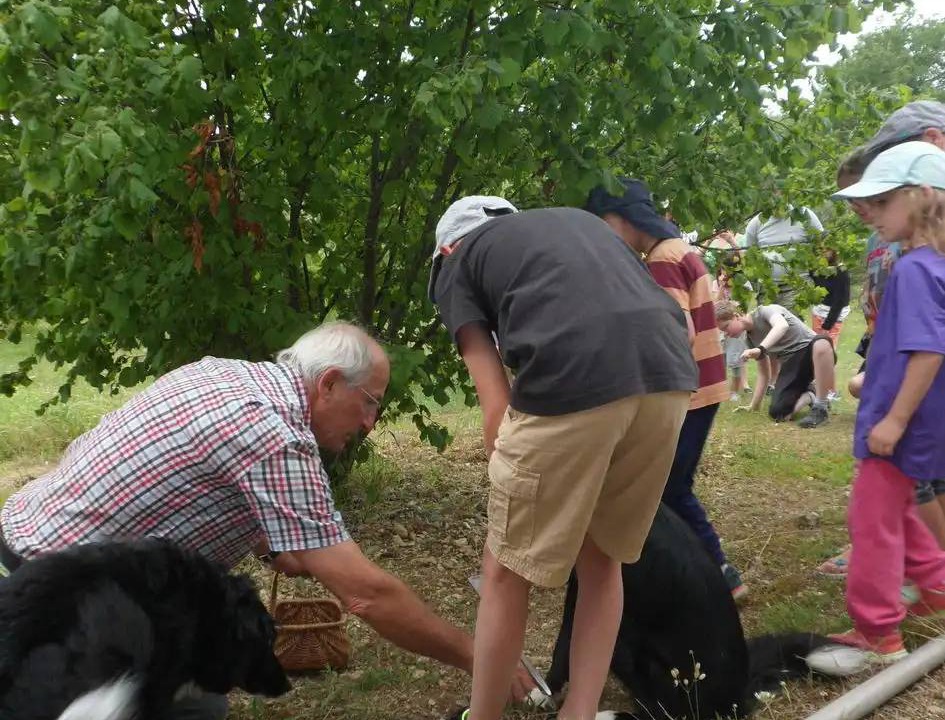 Photo of Others in Villefranche-du-Perigord