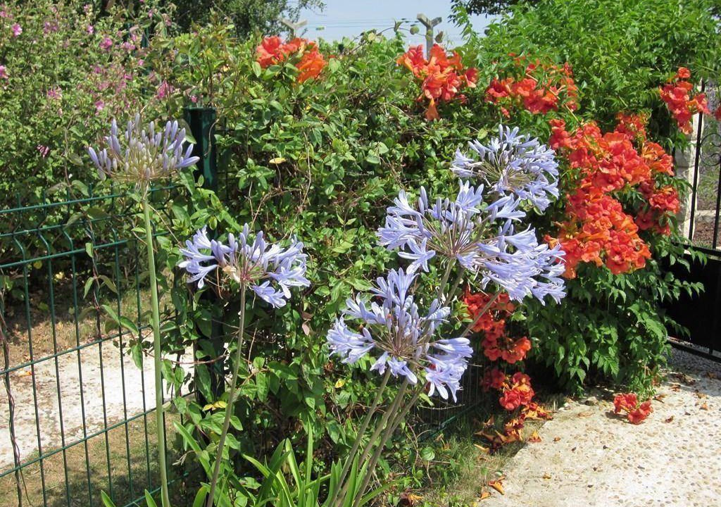 Photo of Others in Ozillac