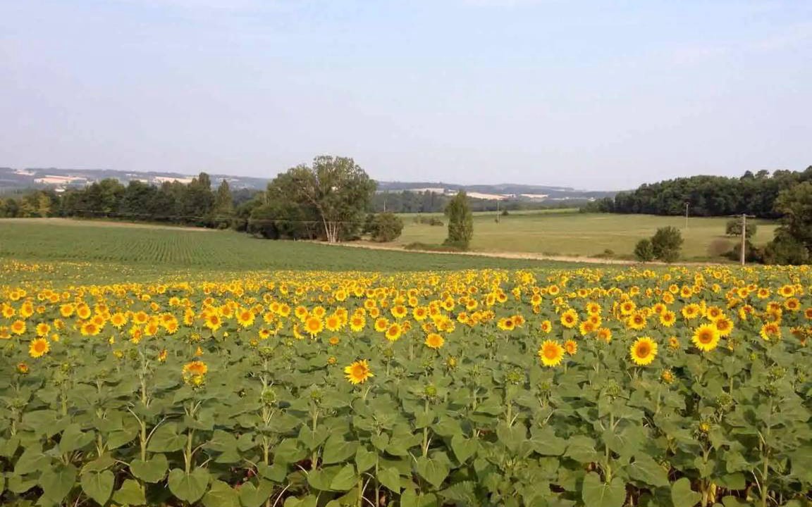 Photo of Others in Juignac