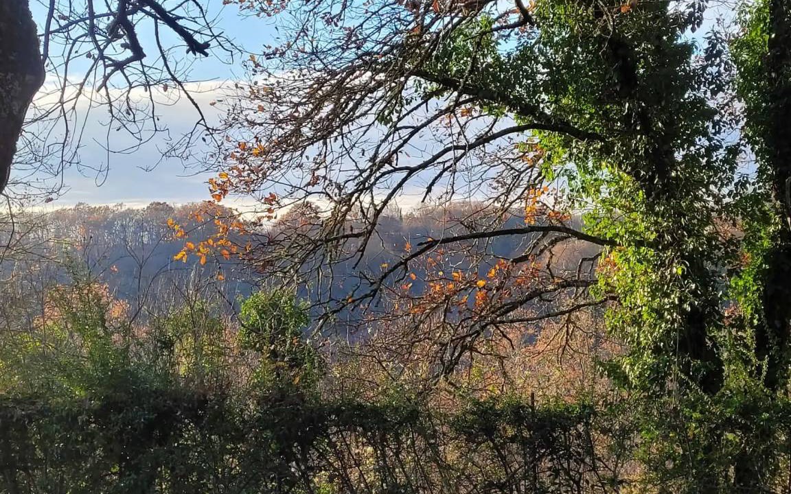 Photo of Others in Limeuil