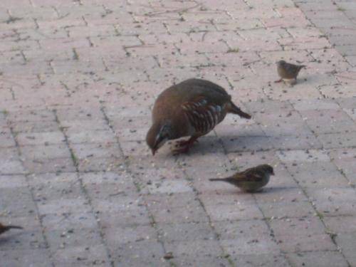 Photo of Others in Bonneuil-Matours
