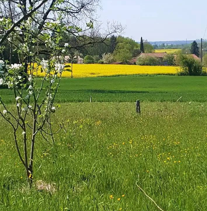 Photo of Others in Nanteuil-en-Vallee
