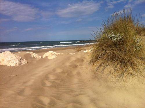 Photo of Others in Salin-de-Giraud