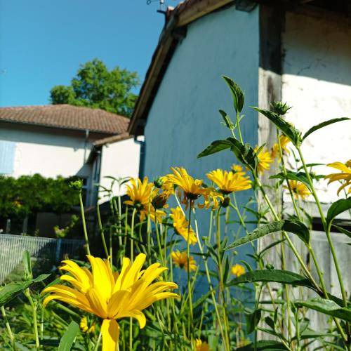Photo of Others in Pouillon