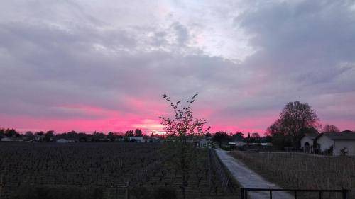 Photo of Others in Libourne