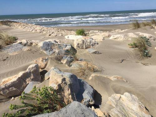 Photo of Others in Salin-de-Giraud