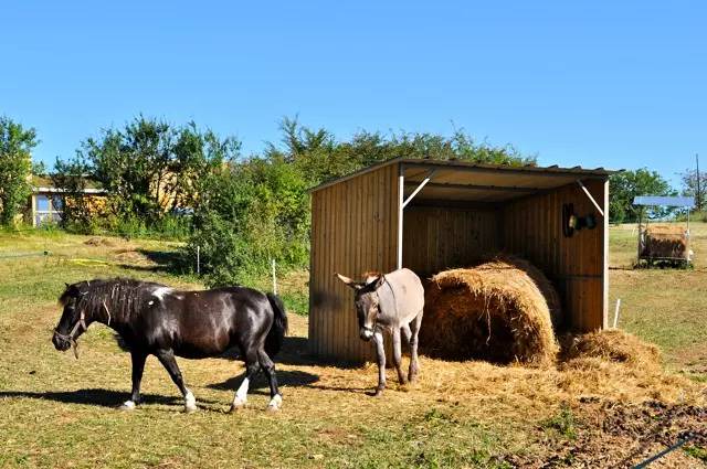 Photo of Others in Sorges-et-Ligueux-en-Perigord