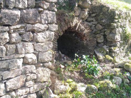 Photo of Others in Pindray