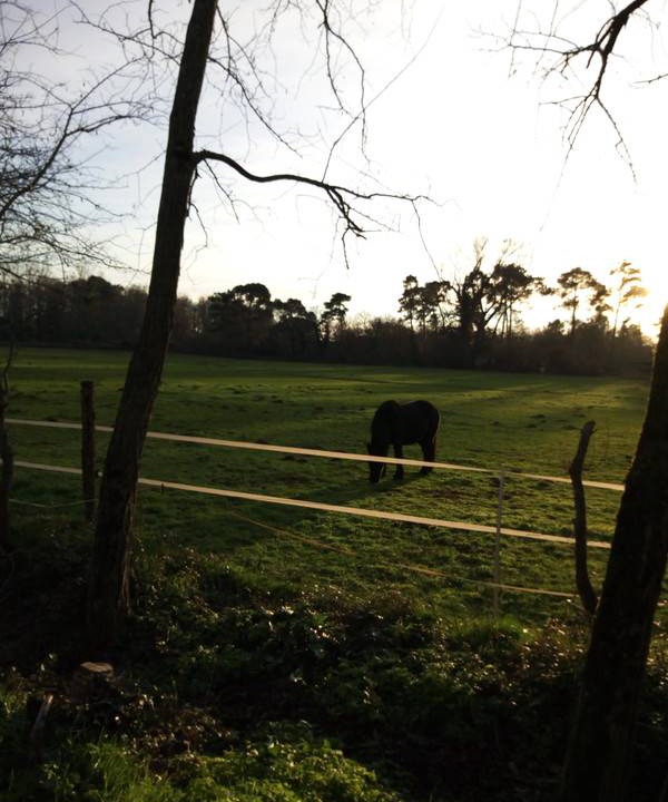 Photo of Others in Le Haillan