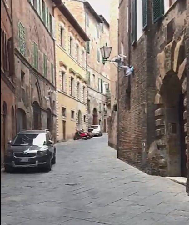 Photo of Others in Siena Historical Center