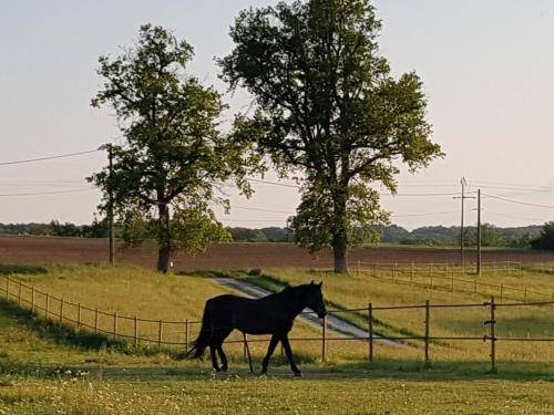 Photo of Others in Monestier