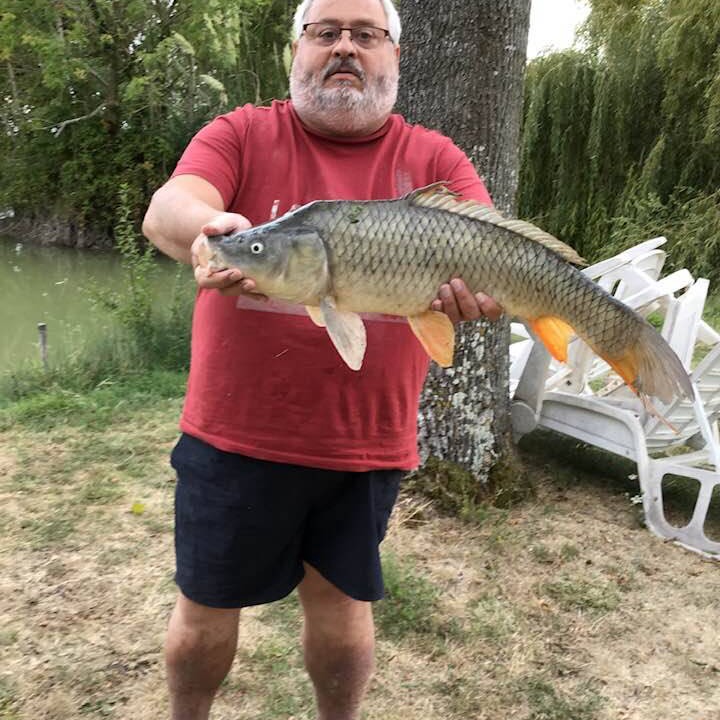 Photo of Others in Naussannes