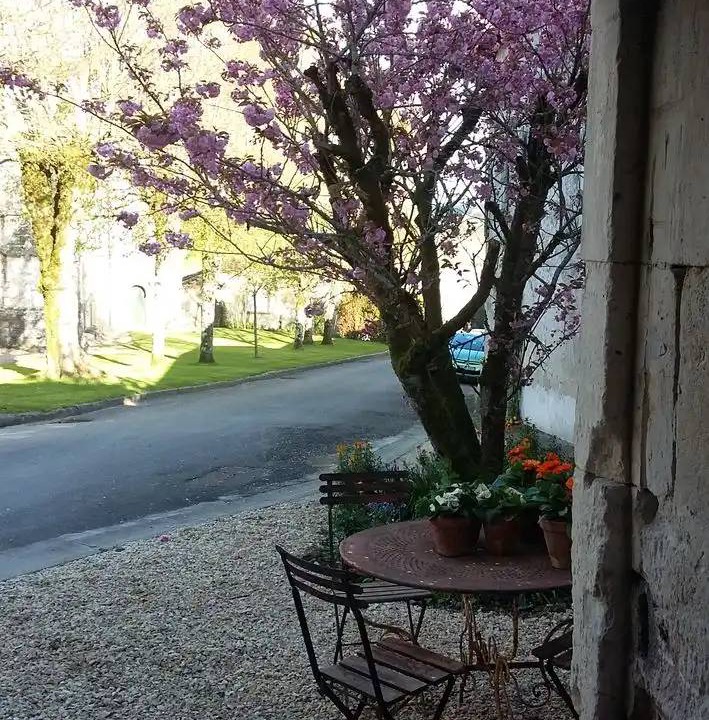 Photo of Others in Sud Charente