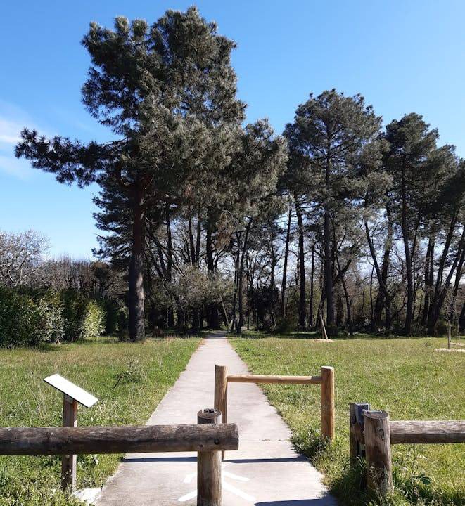 Photo of Others in Pessac