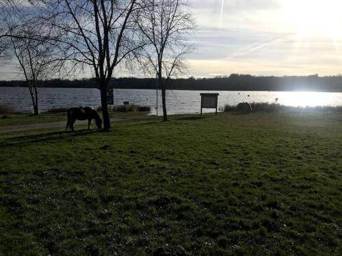 Photo of Others in Saint-Quentin-sur-Charente