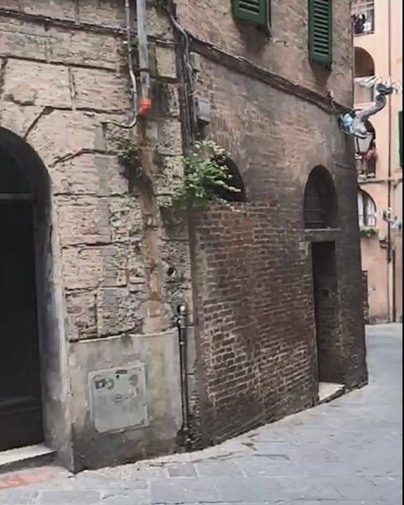 Photo of Others in Siena Historical Center