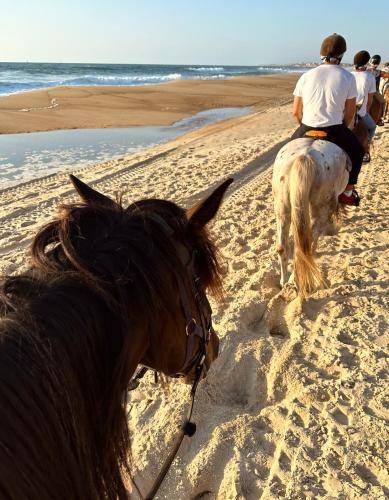 Photo of Others in Capbreton