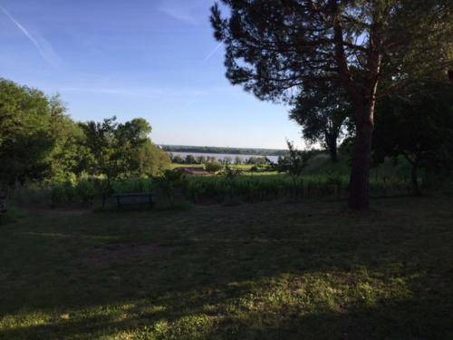 Photo of Others in Bourg-sur-Gironde