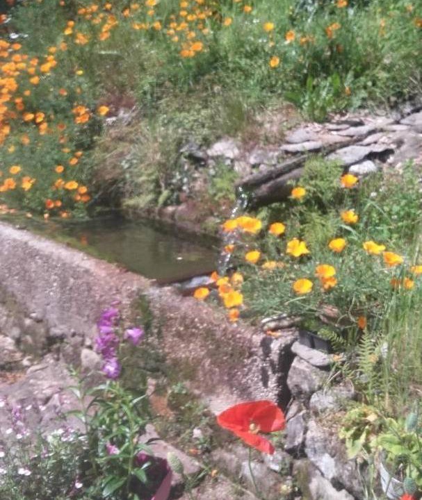 Photo of Others in Saint-Yrieix-le-Dejalat