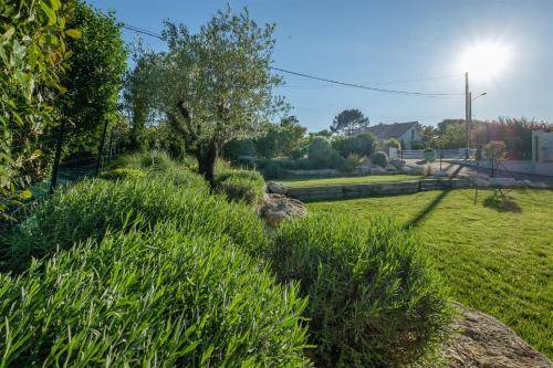 Photo of Others in La Brede